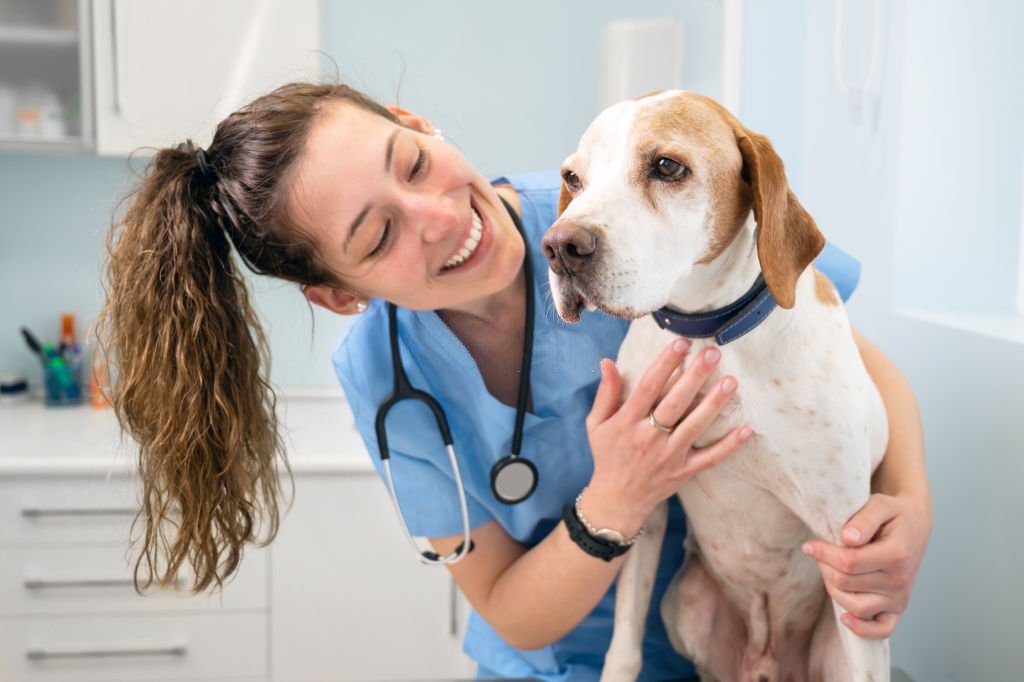 Veterinarian